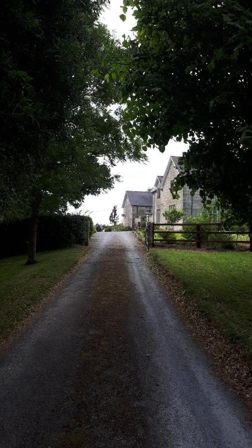 Lorum Old Rectory Bagenalstown Exteriér fotografie