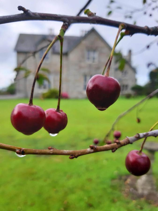 Lorum Old Rectory Bagenalstown Exteriér fotografie